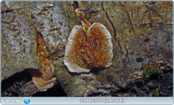 0_1158e3_8f58b90c_orig.png