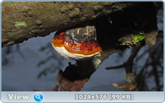 0_11cd22_d2be076d_orig.png