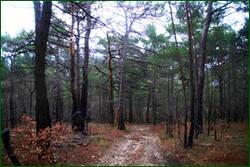 0_f2225_da7d824d_orig.jpg