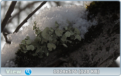 0_12096f_abf96f71_orig.png