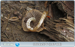 0_127f19_74a3c1f7_orig.png