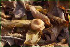 0_f0ad2_5e041085_orig.jpg