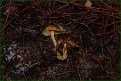 0_f2209_576899a0_orig.jpg