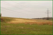0_f5b98_bcd46975_orig.jpg