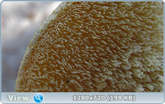 0_115e0a_ee97cf45_orig.png