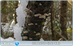 0_115835_ae8c2ecb_orig.png