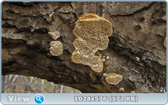 0_123d87_1f3f3ee2_orig.png