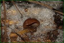 0_f29ba_fc25b94f_orig.jpg