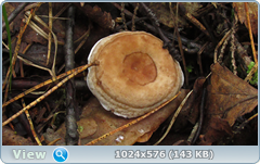 0_11b7b2_5659f3ed_orig.png