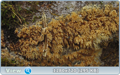 0_115e72_3d51eeb0_orig.png