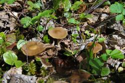 0_141737_fe738352_orig.jpg