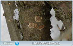 0_120988_85acf8f5_orig.png