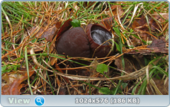 0_12644a_6ba7cecd_orig.png