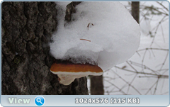 0_11f0da_4f1feff9_orig.png