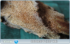 0_11f105_7cc2cee2_orig.png