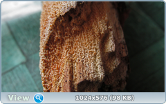 0_11f107_a95212ca_orig.png