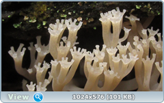 0_12880f_bd5dafd0_orig.png