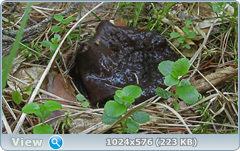 0_129768_b3715682_orig.png