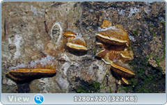 0_1158df_e2a4b36e_orig.png