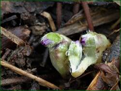 0_13cb33_4662f032_orig.jpg