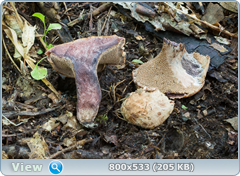 0_11b617_1687c560_orig.png