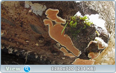 0_116313_3c8b9a69_orig.png