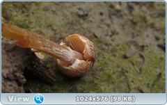 0_127f13_5142d9d3_orig.png