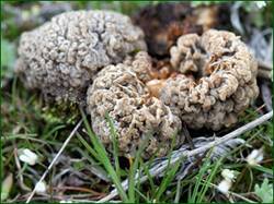 0_13dbb6_2ddf6203_orig.jpg