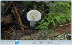 0_11b78b_696032b6_orig.png