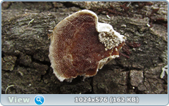 0_123d85_bf109301_orig.png