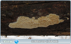 0_115e52_92f0ab91_orig.png