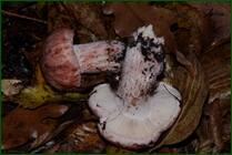 0_f078b_47c798f2_orig.jpg