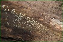 0_f15d8_88841f7d_orig.jpg