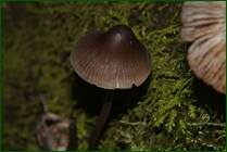 0_f15f2_1f9f4558_orig.jpg