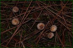 0_f21d1_912ef51c_orig.jpg