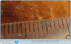 0_11631b_b349da04_orig.png