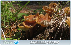 0_12a4e4_beefebc6_orig.png