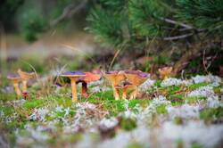 0_134f42_45b0c60_orig.jpg