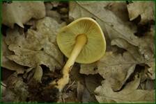 0_f622b_844bf1f7_orig.jpg