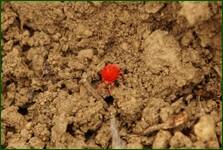 0_f5b60_bb9117ed_orig.jpg