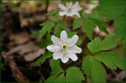 0_141c33_9b508e1f_orig.jpg