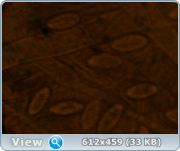 0_11e4f4_a7866647_orig.png