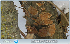0_12098c_4f91954b_orig.png