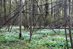 0_140374_41a18dc2_orig.jpg