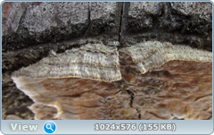 0_120969_b9693108_orig.png