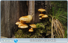 0_127680_c89f58e1_orig.png