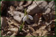 0_f4783_e2461569_orig.jpg