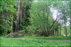 0_142e67_51f7c625_orig.jpg