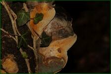 0_f2976_3923b564_orig.jpg