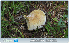 0_11fca4_974c1a85_orig.png